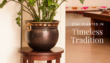 Elevate Your Interiors with Timeless Glamour: A Guide to Styling Brass Planters