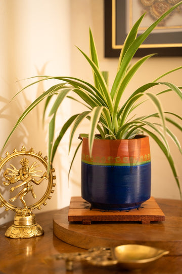 Grow With The Flow Planter