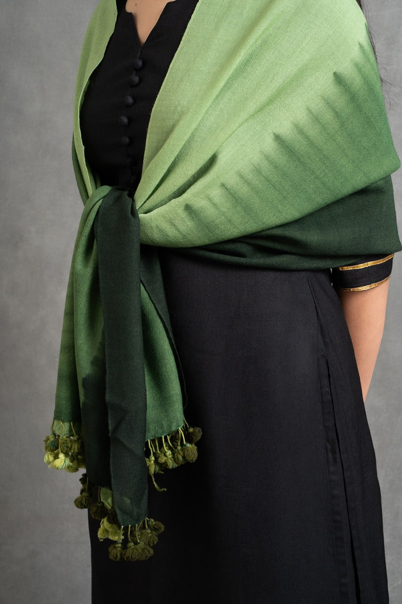 Nillgari Handwoven Stole