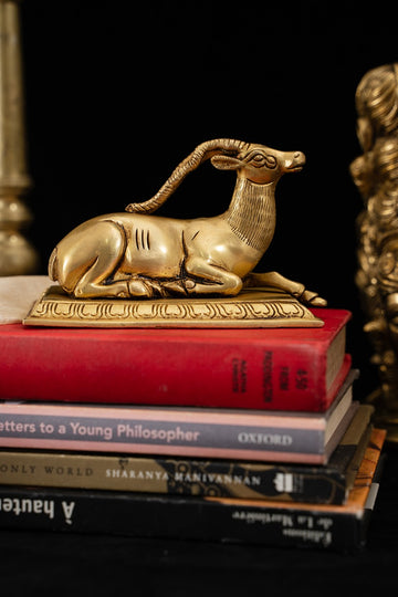 Majestic Deer Brass Decor Accent