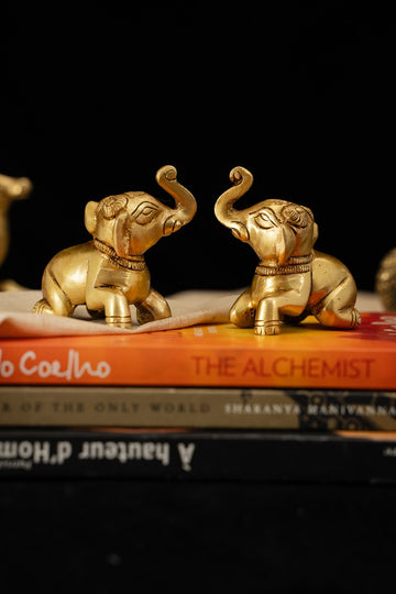 Two-of-a-Kind Brass Baby Elephant Set
