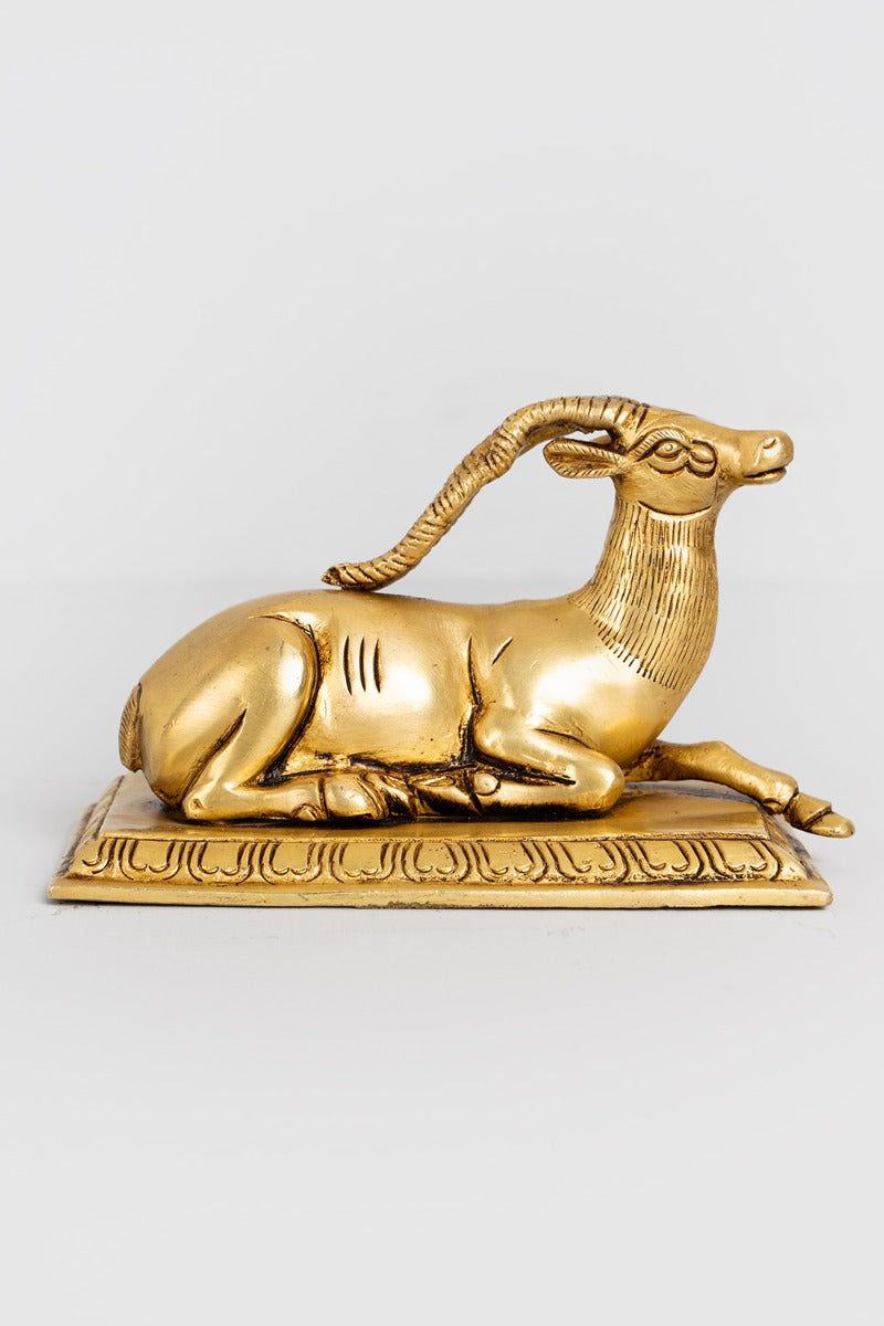 Majestic Deer Brass Decor Accent