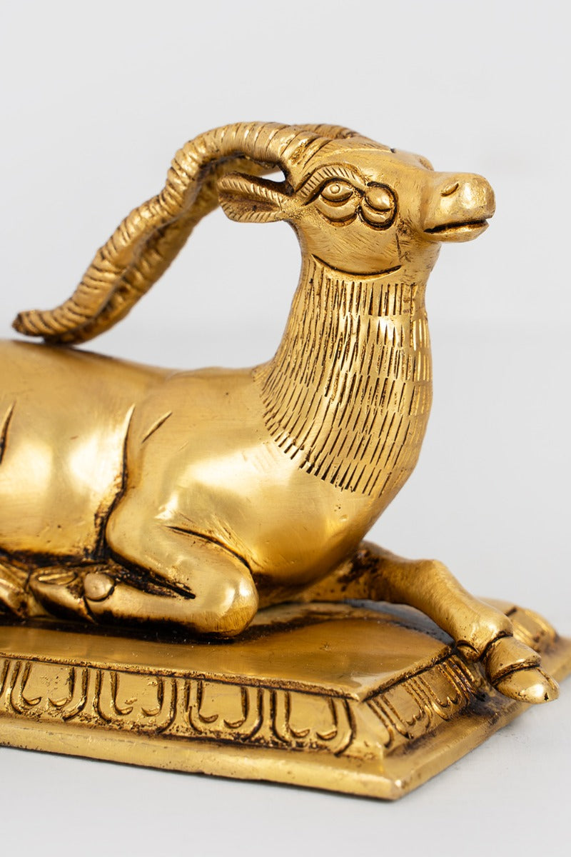 Majestic Deer Brass Decor Accent