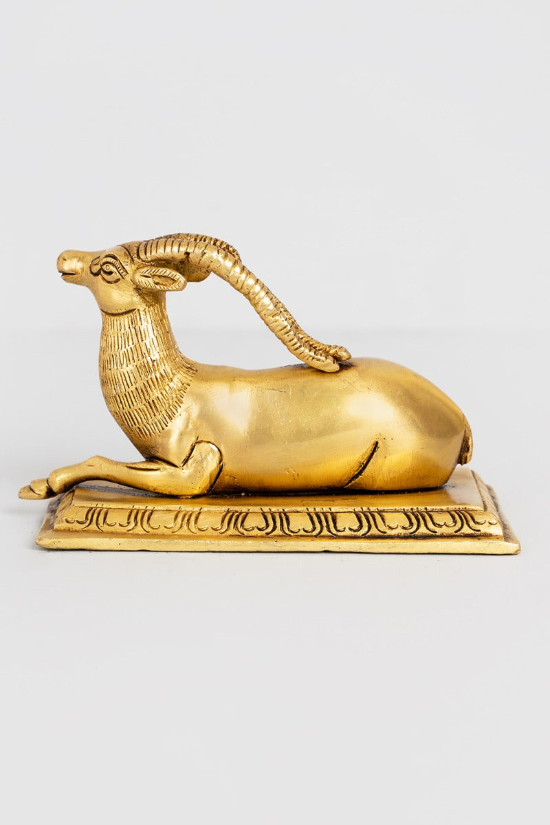 Majestic Deer Brass Decor Accent