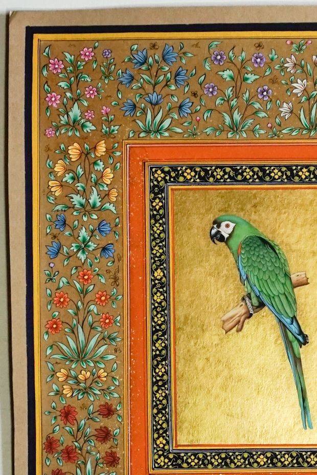 Suhana Parrot Miniature