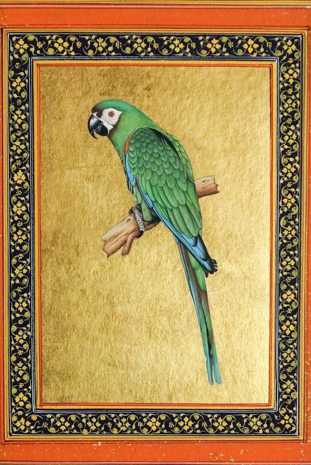 Suhana Parrot Miniature
